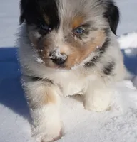 processed/afa53ab6-fe76-409e-98b6-34fe11438367/listing/7db71668-5287-40d1-974d-b5984c86b25e/ca865b42-9005-4599-aed2-c37cd3edb41f