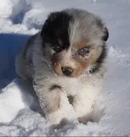 processed/afa53ab6-fe76-409e-98b6-34fe11438367/listing/7db71668-5287-40d1-974d-b5984c86b25e/eb46f60c-a18c-47c5-b579-9b72d7ae3cef