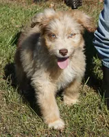 processed/afa53ab6-fe76-409e-98b6-34fe11438367/listing/b090a6a4-d04a-437a-874c-82dcf4cc5471/35b578db-04b3-42fe-a2f2-f73cd473994b