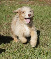 processed/afa53ab6-fe76-409e-98b6-34fe11438367/listing/b090a6a4-d04a-437a-874c-82dcf4cc5471/3872ce6c-c3f0-4187-ab6f-93f931da1646