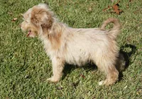 processed/afa53ab6-fe76-409e-98b6-34fe11438367/listing/b090a6a4-d04a-437a-874c-82dcf4cc5471/5b8b9d1e-8a29-4602-b601-29e94cd13fc5