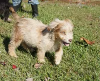 processed/afa53ab6-fe76-409e-98b6-34fe11438367/listing/b090a6a4-d04a-437a-874c-82dcf4cc5471/e534ecb3-4ec4-4fdc-b5e8-b15b33518df2