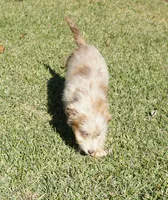 processed/afa53ab6-fe76-409e-98b6-34fe11438367/listing/b090a6a4-d04a-437a-874c-82dcf4cc5471/f3263f66-85b2-4f6f-93d2-e3c2323e50fe