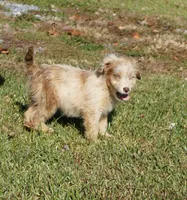 processed/afa53ab6-fe76-409e-98b6-34fe11438367/listing/b090a6a4-d04a-437a-874c-82dcf4cc5471/f67b1437-ef6f-4c42-8f1c-5ab0c8cf0cdd