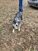 processed/afa53ab6-fe76-409e-98b6-34fe11438367/listing/b5fc7eff-a88c-4981-b378-1194126e164c/13c36f8a-0ef6-4866-8494-ed824a658f8d