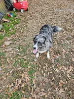 processed/afa53ab6-fe76-409e-98b6-34fe11438367/listing/b5fc7eff-a88c-4981-b378-1194126e164c/599adc60-e53d-44a4-9728-9f13b4e531ac