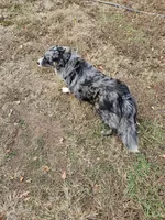 processed/afa53ab6-fe76-409e-98b6-34fe11438367/listing/b5fc7eff-a88c-4981-b378-1194126e164c/8fced6e2-d17f-458e-aeb4-f0af5de82acd