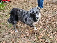 processed/afa53ab6-fe76-409e-98b6-34fe11438367/listing/b5fc7eff-a88c-4981-b378-1194126e164c/b663d75d-99d0-4384-9ef6-00b47895d26f