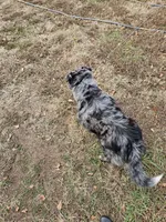 processed/afa53ab6-fe76-409e-98b6-34fe11438367/listing/b5fc7eff-a88c-4981-b378-1194126e164c/c6026a2b-ceec-423e-9fd5-20061c46d84a