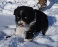 processed/afa53ab6-fe76-409e-98b6-34fe11438367/listing/b67412d0-1328-4fd8-a101-3cb8d3622ba3/017f05b8-3f15-4096-8cf9-9528722b043e