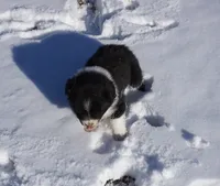 processed/afa53ab6-fe76-409e-98b6-34fe11438367/listing/b67412d0-1328-4fd8-a101-3cb8d3622ba3/23387569-26c2-4d96-98b2-a9850e6e57b0