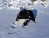 processed/afa53ab6-fe76-409e-98b6-34fe11438367/listing/b67412d0-1328-4fd8-a101-3cb8d3622ba3/3b58354b-0b4a-4037-bdc3-dfda0dd3adc2