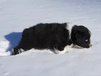 processed/afa53ab6-fe76-409e-98b6-34fe11438367/listing/b67412d0-1328-4fd8-a101-3cb8d3622ba3/3d1735ea-00e3-40f5-9413-d7b8f1241874