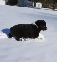 processed/afa53ab6-fe76-409e-98b6-34fe11438367/listing/b67412d0-1328-4fd8-a101-3cb8d3622ba3/817dce1e-659c-48fc-abd0-10d6fb21bbec