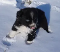 processed/afa53ab6-fe76-409e-98b6-34fe11438367/listing/b67412d0-1328-4fd8-a101-3cb8d3622ba3/8a55b096-a9f2-4629-a9ee-84450c954414