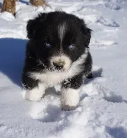 processed/afa53ab6-fe76-409e-98b6-34fe11438367/listing/b67412d0-1328-4fd8-a101-3cb8d3622ba3/b5848343-351d-4051-bf7a-933b2ffb6bc0