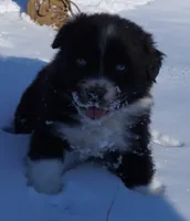 processed/afa53ab6-fe76-409e-98b6-34fe11438367/listing/b67412d0-1328-4fd8-a101-3cb8d3622ba3/cb18e9fb-ee43-4a88-b10c-c1da1d83618f