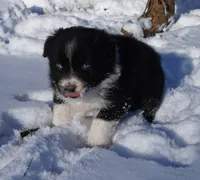 processed/afa53ab6-fe76-409e-98b6-34fe11438367/listing/b67412d0-1328-4fd8-a101-3cb8d3622ba3/f9c16c7d-ff49-4011-87b4-64d8559fda8b