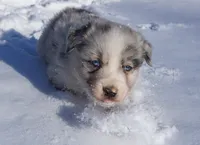 processed/afa53ab6-fe76-409e-98b6-34fe11438367/listing/be0d731f-1c14-47ff-bc57-2bc853d340b6/092f2def-7941-497f-96d1-dc5e35bf27c0