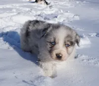 processed/afa53ab6-fe76-409e-98b6-34fe11438367/listing/be0d731f-1c14-47ff-bc57-2bc853d340b6/0bb60fec-2eea-4592-810d-a3e20acd1dab