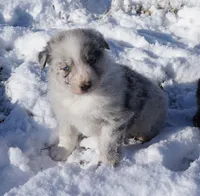 processed/afa53ab6-fe76-409e-98b6-34fe11438367/listing/be0d731f-1c14-47ff-bc57-2bc853d340b6/b0280206-93af-4d92-b8a0-81ba64cce9e5