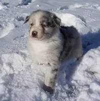 processed/afa53ab6-fe76-409e-98b6-34fe11438367/listing/be0d731f-1c14-47ff-bc57-2bc853d340b6/bd763930-0c08-4ba1-a4b7-703a8783b25b