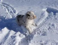 processed/afa53ab6-fe76-409e-98b6-34fe11438367/listing/be0d731f-1c14-47ff-bc57-2bc853d340b6/bfa4feb8-6bde-4e8e-b994-647a2654172a