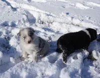 processed/afa53ab6-fe76-409e-98b6-34fe11438367/listing/be0d731f-1c14-47ff-bc57-2bc853d340b6/c7ec3965-0d67-43fa-88c9-2ddf37304efa