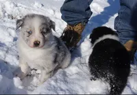 processed/afa53ab6-fe76-409e-98b6-34fe11438367/listing/be0d731f-1c14-47ff-bc57-2bc853d340b6/ca7f1144-105e-4cc1-8e53-cf6d8b97a25c