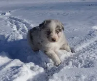 processed/afa53ab6-fe76-409e-98b6-34fe11438367/listing/be0d731f-1c14-47ff-bc57-2bc853d340b6/fc88911b-3f69-4d7e-8a1b-fe47d7c08abd