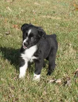 processed/afa53ab6-fe76-409e-98b6-34fe11438367/listing/c9f6a581-5161-4ce7-b758-026f9ad58272/0a80db0d-5ffa-4b20-a045-576721bf8c32