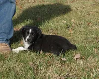 processed/afa53ab6-fe76-409e-98b6-34fe11438367/listing/c9f6a581-5161-4ce7-b758-026f9ad58272/2bc6c34d-f638-467e-b448-84318b11949a