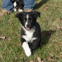 processed/afa53ab6-fe76-409e-98b6-34fe11438367/listing/c9f6a581-5161-4ce7-b758-026f9ad58272/3daef494-903e-456e-8752-4fb3aa6f8a33