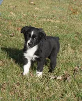 processed/afa53ab6-fe76-409e-98b6-34fe11438367/listing/c9f6a581-5161-4ce7-b758-026f9ad58272/57a9ae7c-392a-4642-886a-b77b589a7757