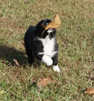 processed/afa53ab6-fe76-409e-98b6-34fe11438367/listing/c9f6a581-5161-4ce7-b758-026f9ad58272/69260e92-e4ff-44a7-8630-6cc4a8dc7967