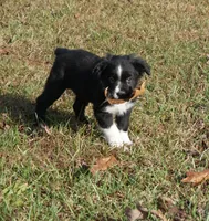 processed/afa53ab6-fe76-409e-98b6-34fe11438367/listing/c9f6a581-5161-4ce7-b758-026f9ad58272/76f13bab-fe15-4171-95de-2c03b2bb8351