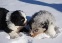 processed/afa53ab6-fe76-409e-98b6-34fe11438367/listing/e4666169-9639-4db9-9592-ebcf1f79531a/0bc009f4-6129-4874-85f9-2714ac010e56