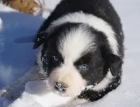 processed/afa53ab6-fe76-409e-98b6-34fe11438367/listing/e4666169-9639-4db9-9592-ebcf1f79531a/0fff6242-769e-46b7-8ed7-df39cd43d951