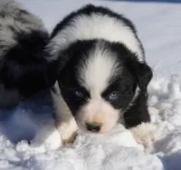 processed/afa53ab6-fe76-409e-98b6-34fe11438367/listing/e4666169-9639-4db9-9592-ebcf1f79531a/37a2a008-976a-4325-b2d8-2ce2c913aa71