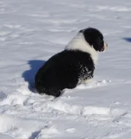 processed/afa53ab6-fe76-409e-98b6-34fe11438367/listing/e4666169-9639-4db9-9592-ebcf1f79531a/3963d986-d909-4e65-8e36-038ba8003dc3