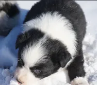 processed/afa53ab6-fe76-409e-98b6-34fe11438367/listing/e4666169-9639-4db9-9592-ebcf1f79531a/4e8f3a89-dfbb-4ab9-9baf-b73aede799d2