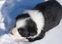 processed/afa53ab6-fe76-409e-98b6-34fe11438367/listing/e4666169-9639-4db9-9592-ebcf1f79531a/ae0e75db-2ea1-409c-8fb5-3e8828d16056