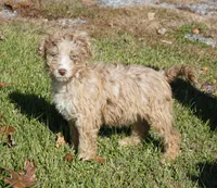 processed/afa53ab6-fe76-409e-98b6-34fe11438367/listing/f2326577-67a8-4c73-a228-e88e9665d800/54cb8eb8-8332-4338-b280-bc985187c4c6