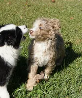 processed/afa53ab6-fe76-409e-98b6-34fe11438367/listing/f2326577-67a8-4c73-a228-e88e9665d800/64547854-85ec-4aed-9ca7-eb93457a0f3f