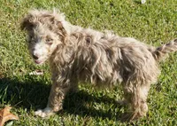 processed/afa53ab6-fe76-409e-98b6-34fe11438367/listing/f2326577-67a8-4c73-a228-e88e9665d800/d836199b-4e25-418d-8409-24126576e9bd