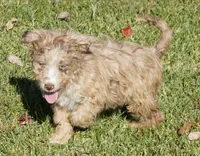 processed/afa53ab6-fe76-409e-98b6-34fe11438367/listing/f2326577-67a8-4c73-a228-e88e9665d800/e020ba57-edd6-4c0d-94d9-e24c71201014