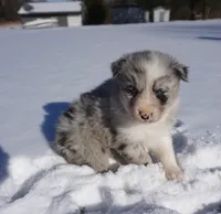 processed/afa53ab6-fe76-409e-98b6-34fe11438367/listing/fae42c3e-4170-4036-a954-445f85e1e333/0671b447-2c3d-47a4-bebf-c10d7c995130