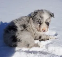 processed/afa53ab6-fe76-409e-98b6-34fe11438367/listing/fae42c3e-4170-4036-a954-445f85e1e333/35007be0-b14e-4158-b7e7-7308bce5b384