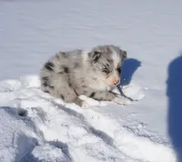 processed/afa53ab6-fe76-409e-98b6-34fe11438367/listing/fae42c3e-4170-4036-a954-445f85e1e333/69367e8e-862b-404b-a492-b57c3029e049