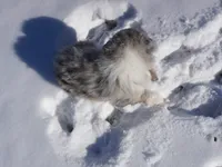 processed/afa53ab6-fe76-409e-98b6-34fe11438367/listing/fae42c3e-4170-4036-a954-445f85e1e333/898e9326-efe2-4292-a3d5-cb3c5f8c7871